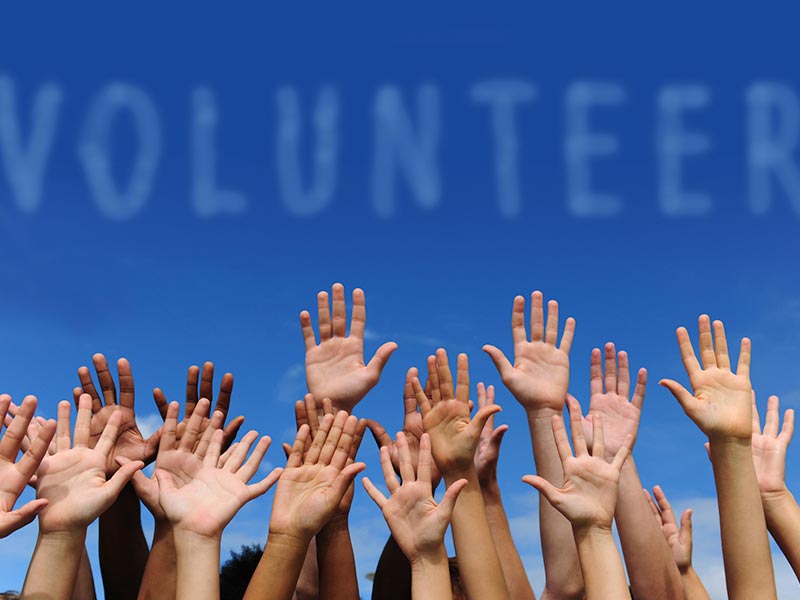 volunteers